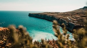 shore, sea, cliff, stone, water, plants - wallpapers, picture