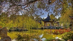 cenador, china, árbol, ramas, estanque, flora