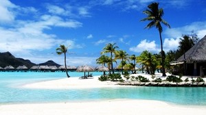 bora bora, island, palm trees, bay, clear water, huts