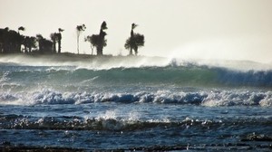 tormenta, mar, olas, palmeras