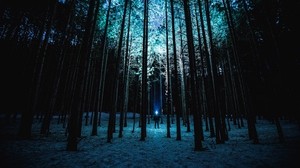 man, night, forest, light, trees