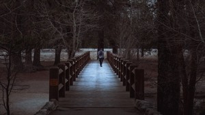 uomo, parco, passeggiata, alberi