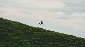 man, jump, minimalism, sky, grass - wallpapers, picture