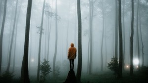 man, fog, loneliness, forest, trees