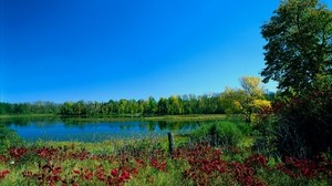 colors, paints, early autumn, trees, lake, greens
