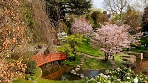 flowering, trees, the bridge, stones, design, top, cloudy - wallpapers, picture