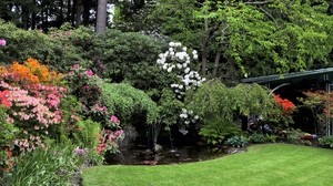 flowers, trees, fountain, lawn, garden - wallpapers, picture