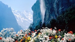 flores, montañas, acantilado