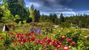 flowers, garden, green, sky, clouds, lightness, lantern, brightly, flora