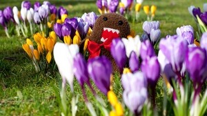 flowers, grass, toy - wallpapers, picture