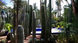 arboretum, cacti, plate