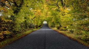 trees, road, autumn, scotland