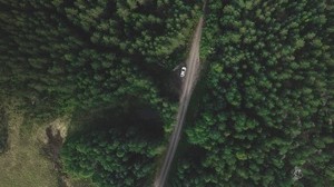 trees, forest, top view, road, movement - wallpapers, picture