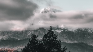 trees, sky, mountains, clouds, fog