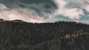 trees, sky, clouds, forest, top view