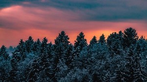árboles, cielo, invierno, nevado, Eslovenia - wallpapers, picture