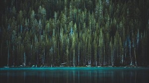 puut, järvi, varjo, yosemiten kansallispuisto, Yhdysvallat