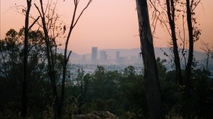 alberi, alba, città, Messico
