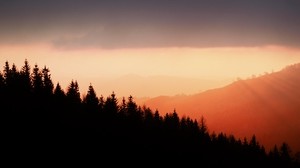 trees, silhouettes, fog, sunset, sky, slope
