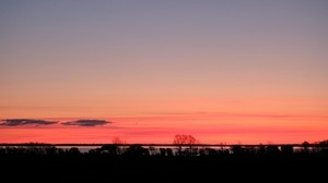 árboles, crepúsculo, horizonte, oscuro, tarde