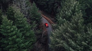 trees, top view, car, forest, fog