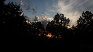 trees, sunset, rays, branches, the sky, dark