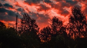 trees, sunset, sky, clouds, autumn, evening