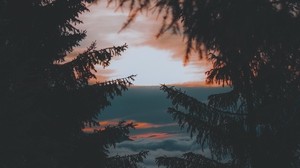 trees, sunset, twilight, dark, landscape