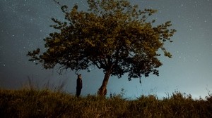 tree, man, night, starry sky, dark - wallpapers, picture