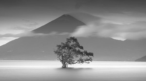 tree, mountain, black and white (bw), minimalism, monochrome - wallpapers, picture