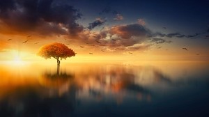 tree, horizon, sunset, photoshop, sea - wallpapers, picture