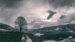 tree, mountains, clouds, fog