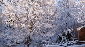 wood, hoarfrost, winter, wicket, light, grate, railing - wallpapers, picture