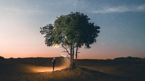 tree, night, silhouette, starry sky, light - wallpapers, picture