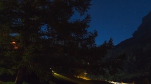 树木，夜晚，繁星点点的天空，草 - wallpapers, picture