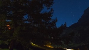 árbol, noche, cielo estrellado, hierba