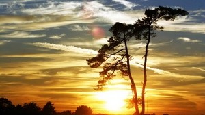 tree, clouds, sky, light, airy, weightless, sunset, evening