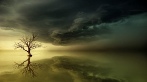 tree, lonely, reflection, horizon