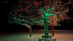 树，灯，夜，装饰，圣诞节 - wallpapers, picture