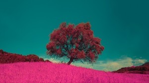 tree, pink, photoshop, grass, lonely