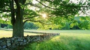 tree, sun, fencing, stone, tenure, grass, summer, light - wallpapers, picture