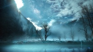 tree, fog, mountains, yosemite valley, usa