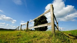 árbol, valla, tablas, verano