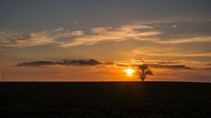 tree, sunset, horizon, sky, clouds, lonely - wallpapers, picture
