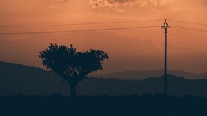 tree, sunset, pole, wires - wallpapers, picture