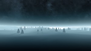 trees, spruce, snow, outlines, gloomy, fog, darkness