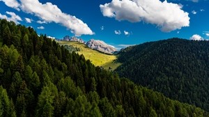 árboles, montañas, nubes, verano