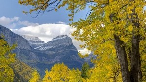 trees, mountains, autumn, leaves, branches, distance