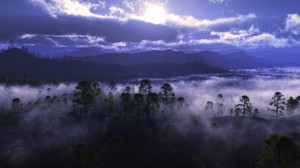 árboles, montañas, niebla, humo