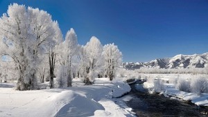 trees, hoarfrost, winter, river, source, course, day - wallpapers, picture